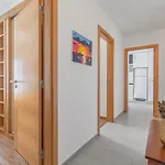 Apartman Figueiras *