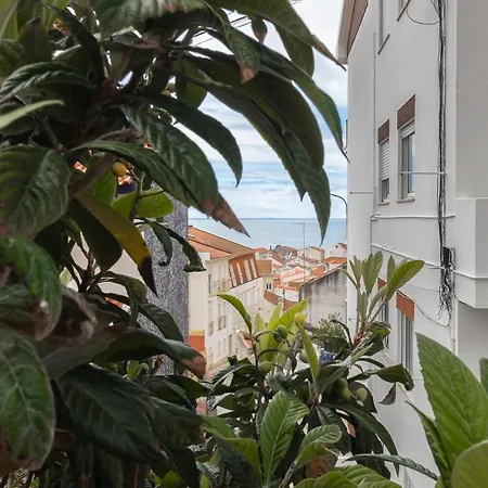 Apartment Figueiras *